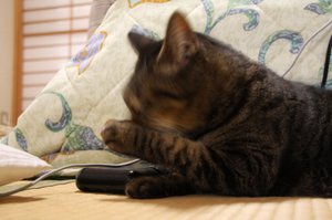 20100116_mami1